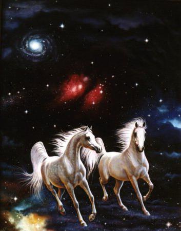proč sní o bílém koni