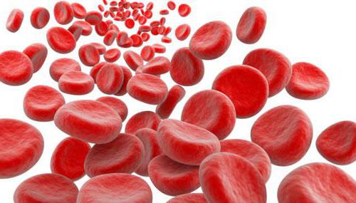 kar poveča hemoglobin v krvi