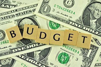 федерален бюджет