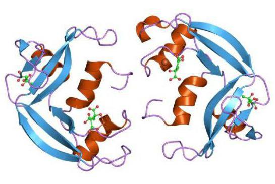 kationski eozinofilni protein