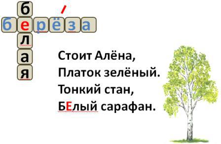 Zasady języka rosyjskiego, słownictwo