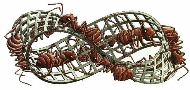 Escher Ribbon Moebius II (červená mravenci)