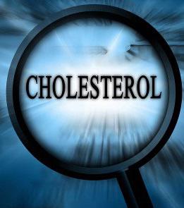 što je kolesterol