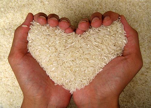protiv prehrane riža
