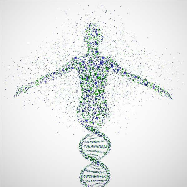 Človeška DNA