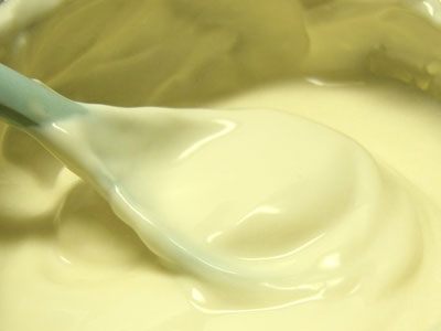 práškové mléko pro telata, jak se chovat