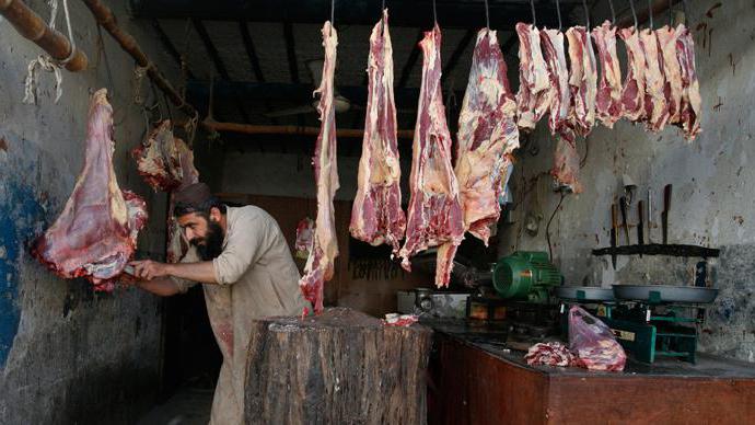 proč muslimové nejedí historii vepřového masa