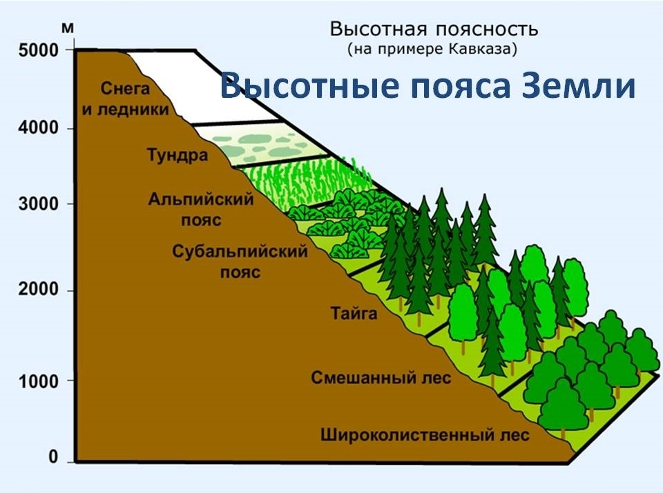 Висинска зона Русије