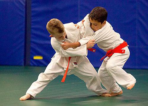 cos'è il judo per i bambini