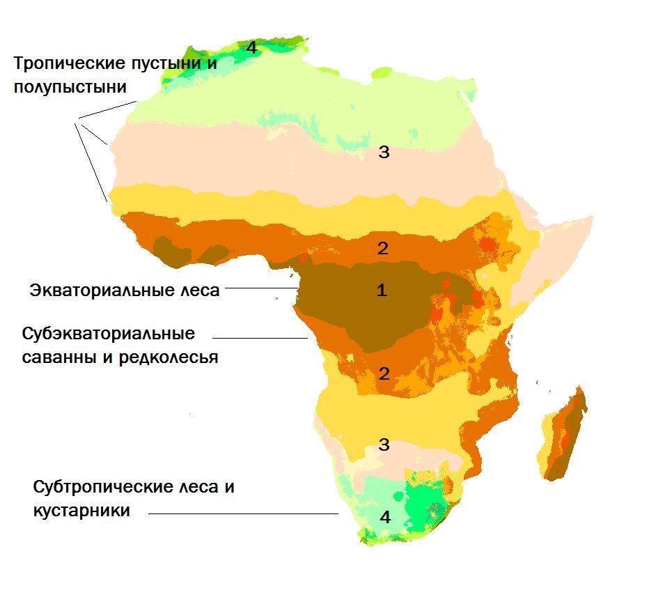 Латитудинална зоналност Африке