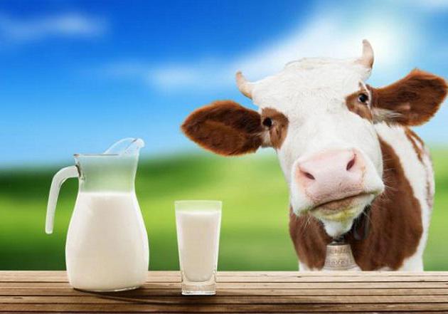druhy balení mléka
