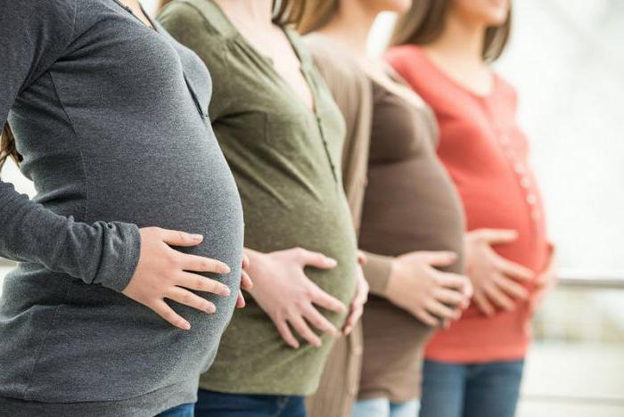 Lexan med nosečnostjo za predpisano
