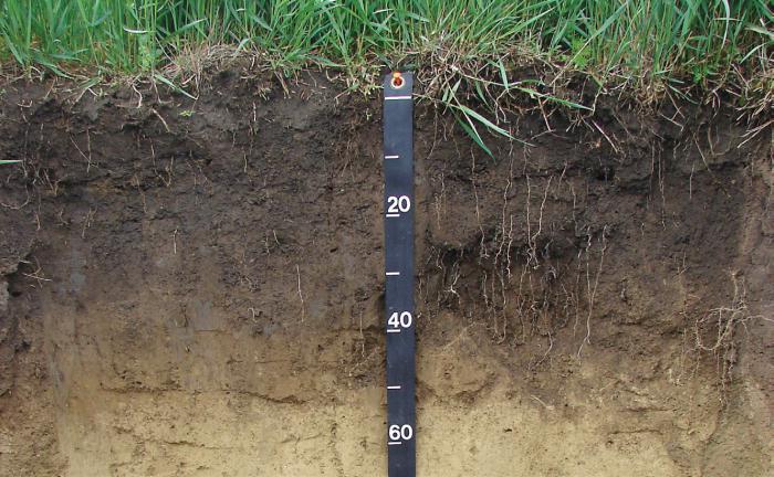 свойства на почвата