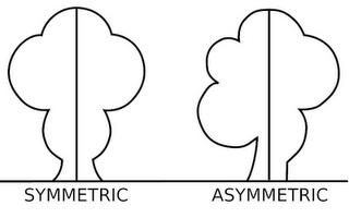 središte simetrije