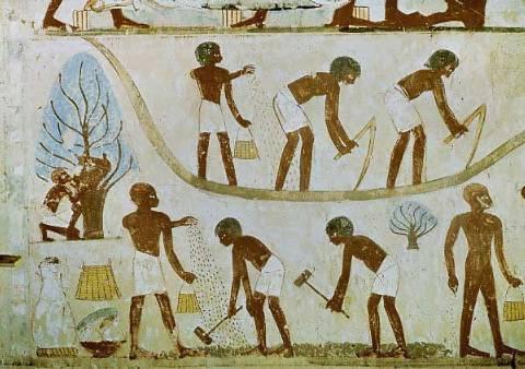 výběr daní ve starověkém Egyptě