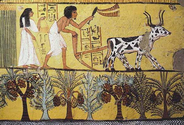 значението на думата данък в древен Египет