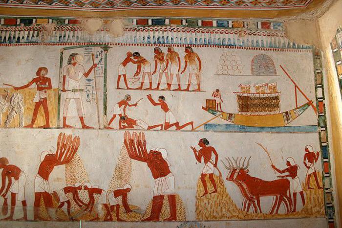 kdo platil daně ve starověkém Egyptě