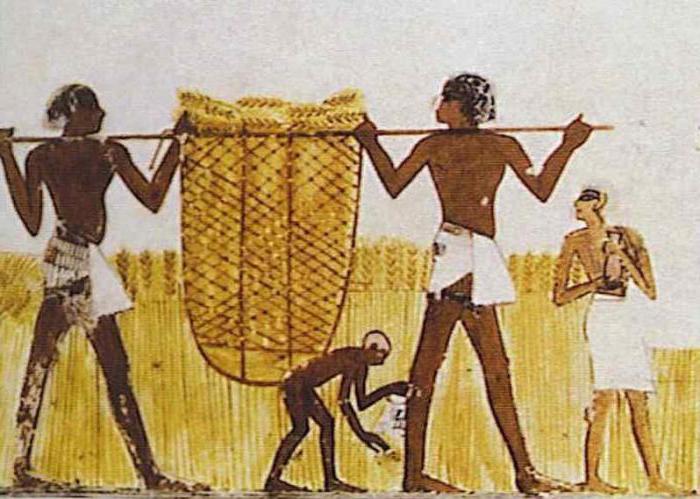 davka v starodavnem egiptu