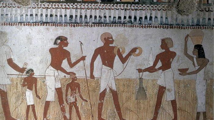 daňový sběratel ve starověkém Egyptě