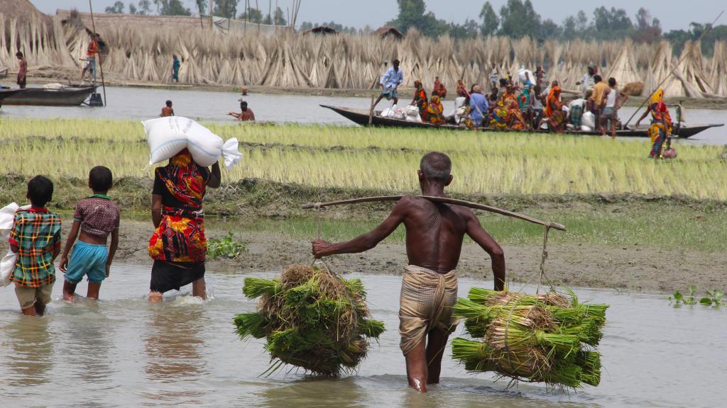 Rolníci v Bangladéši