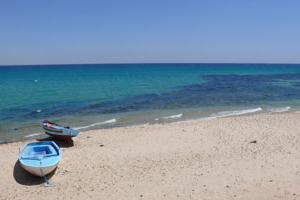 Tunis na kojem moru