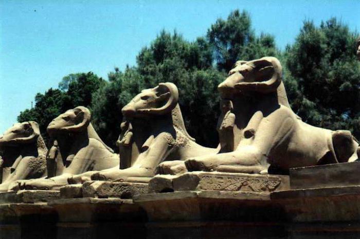 sekrety egipskiego sfinksa