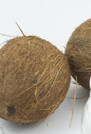 come è utile la noce di cocco?