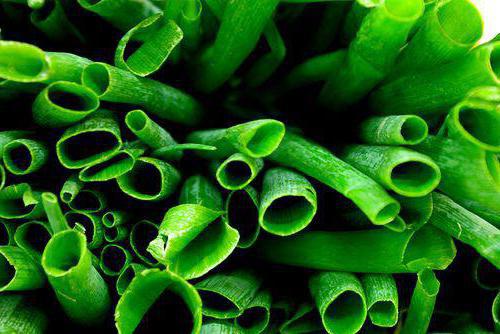 zeleni luk: dobrobiti i štete za tijelo