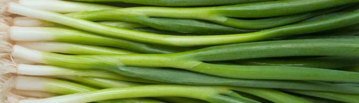 зелени лук: користи и штета за јетру