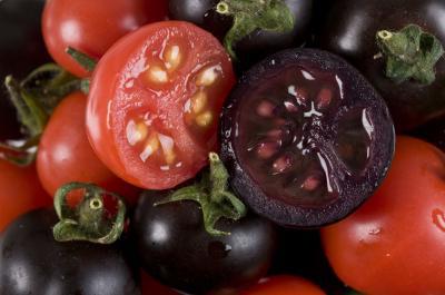 co jest przydatne dla organizmu pomidora