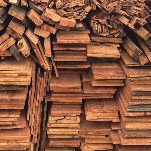 druhy dřeva