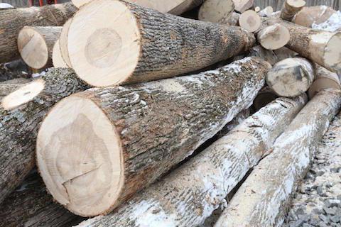 dřevěné dřevo
