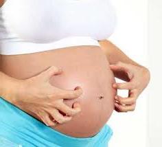 изписване през първите седмици на бременността