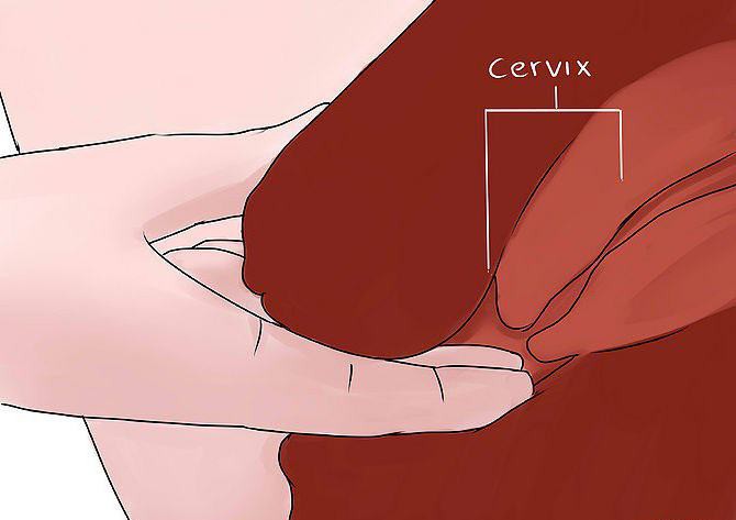 какво е шийката на матката преди менструацията