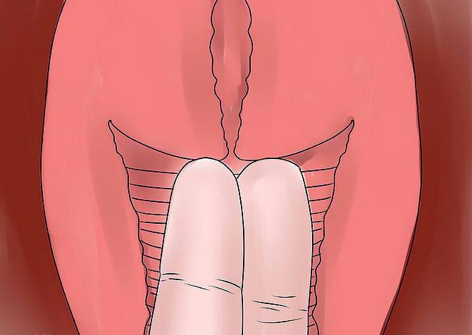 grlića maternice prije menstruacije i tijekom trudnoće