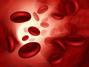 wskaźnik hemoglobiny u kobiet w ciąży