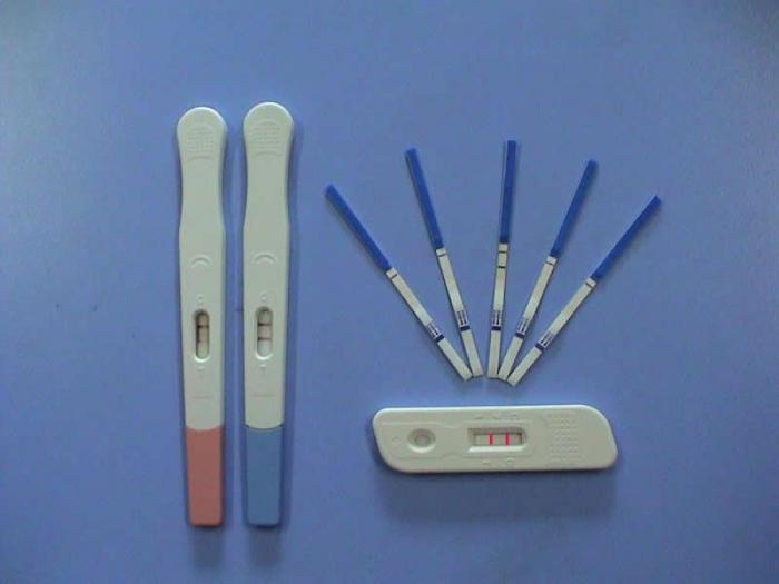 Pruhy na těhotenském testu