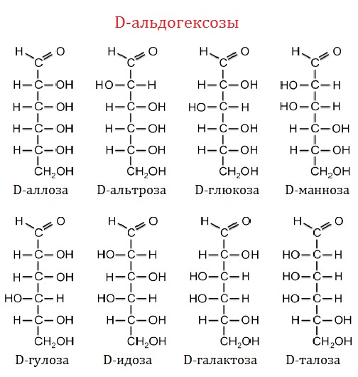Aldohexose monosaccharides