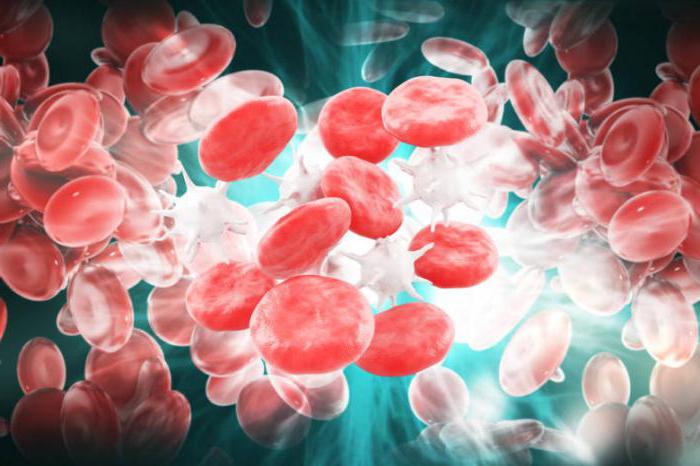 caratterizzazione delle cellule del sangue