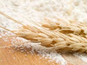 odmiany mąki pszennej