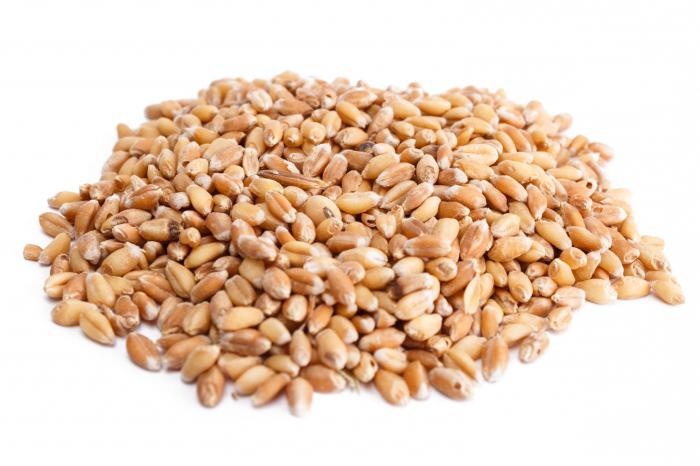 клијавост пшенице