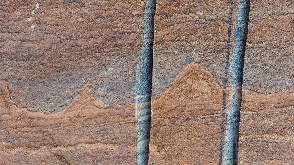Stromatolite fossile dalla Groenlandia