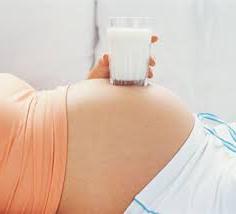 mléko během těhotenství