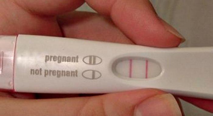 тест за бременност 2 ленти