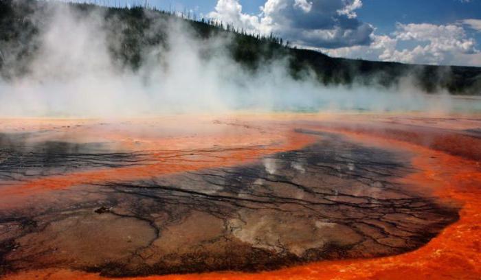 kamera internetowa wulkanu Yellowstone