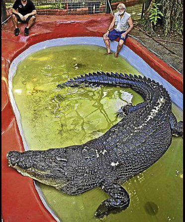 Gdje žive krokodili