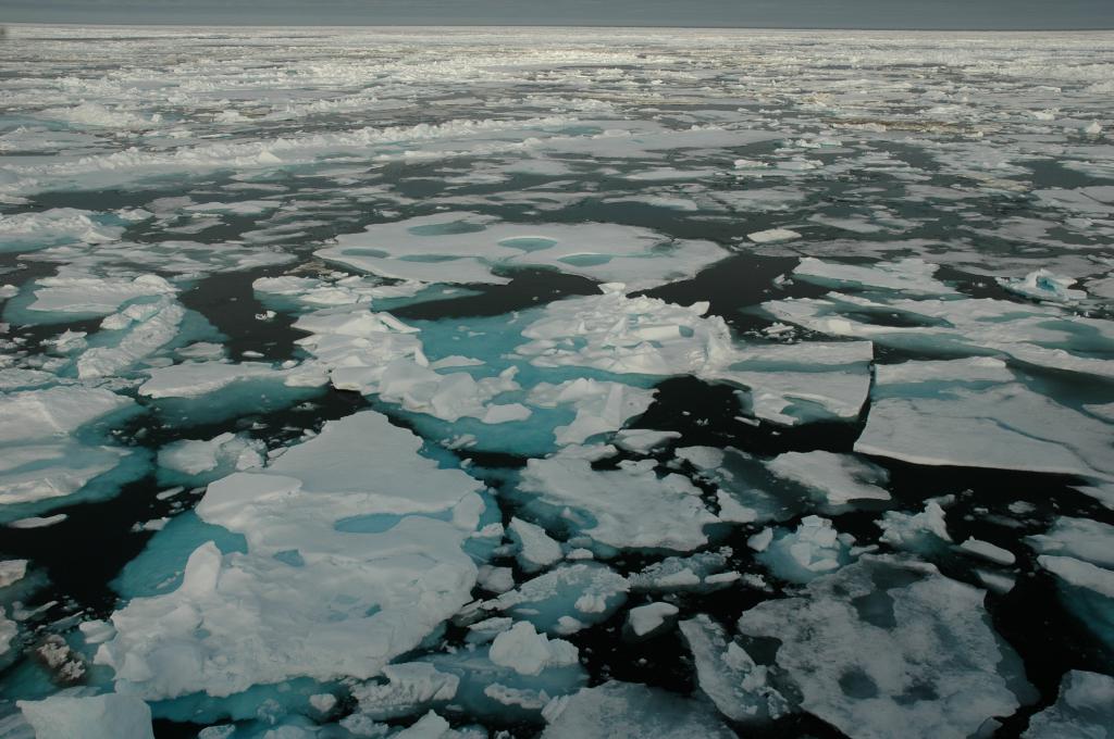 Северният ледовит океан