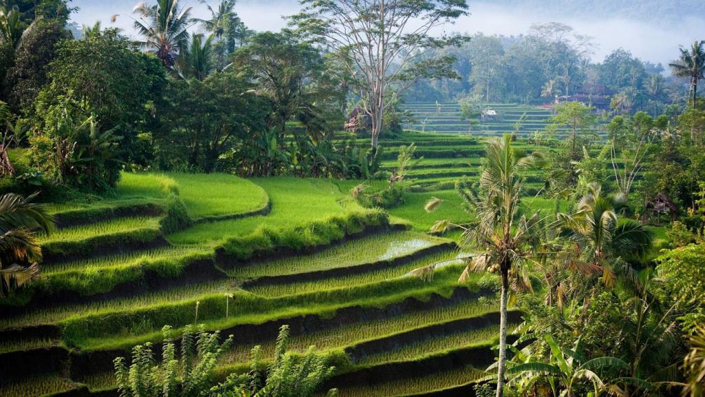 Bali příroda