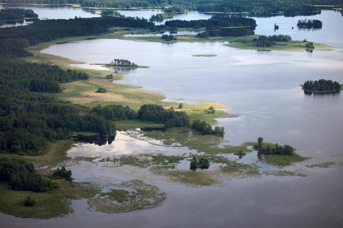 езеро vooxa Ленинградска област