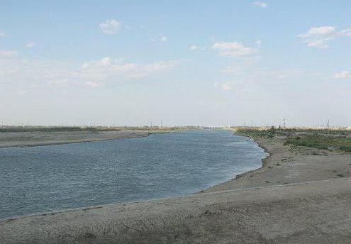 Řeka Syrdarya